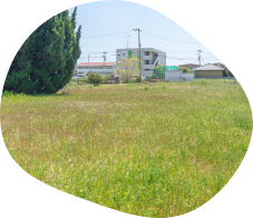 建築条件なし